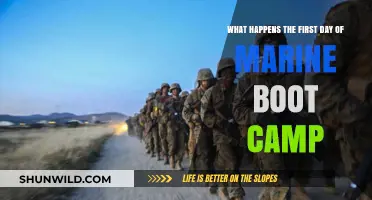 Marine Boot Camp Day 1: Shock, Transformation, and Discipline Unveiled