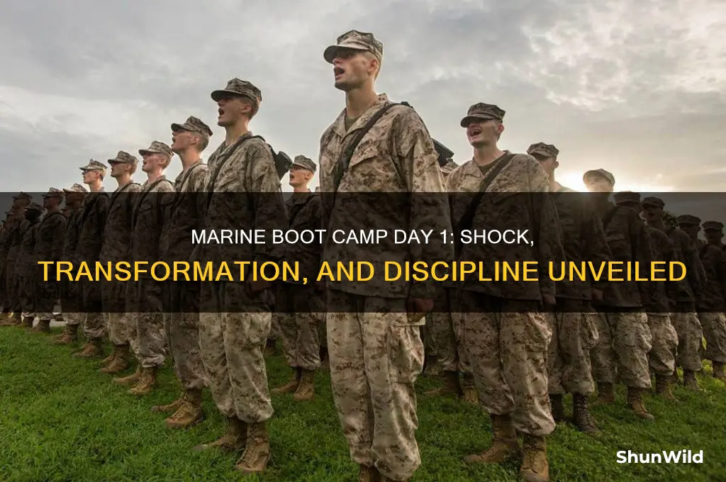 what happens the first day of marine boot camp