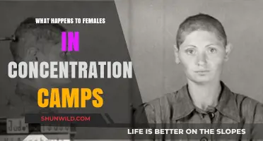 Female Suffering in Concentration Camps: Untold Stories of Survival and Resilience