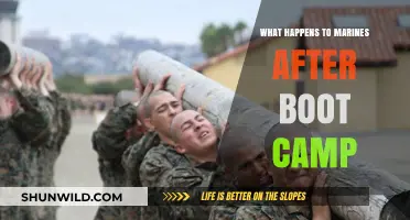 Life After Boot Camp: Marines' Journey Beyond Basic Training
