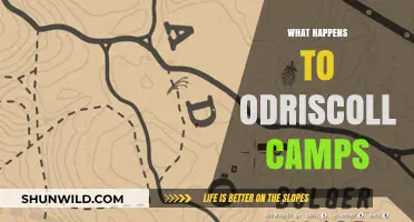 The Fate of O'Driscoll Camps: Unraveling Their Disappearance in RDR2