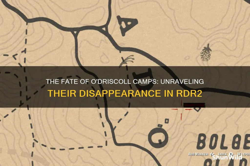what happens to odriscoll camps