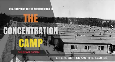 Android Plight: DBH's Fate in Concentration Camps Explored