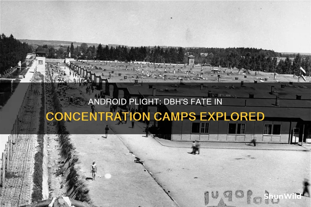 what happens to the androids dbh in the concentration camp