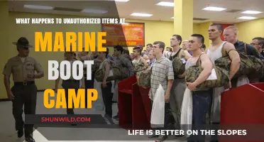 Unauthorized Items at Marine Boot Camp: Confiscation, Consequences, and Compliance