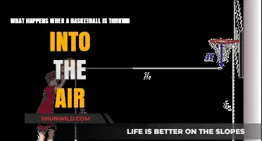 The Science Behind a Basketball's Flight: From Throw to Landing