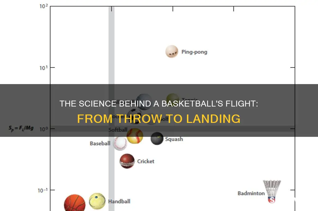 what happens when a basketball is thrown into the air