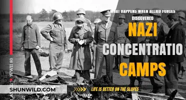Liberation's Shock: Allied Forces Uncover Nazi Concentration Camps' Horrors