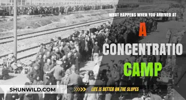 Arrival at a Concentration Camp: The Harrowing Reality Unveiled