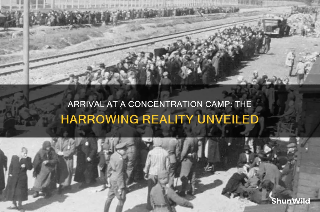 what happens when you arrived at a concentration camp