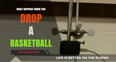 The Science Behind Dropping a Basketball: Bounce, Spin, and Physics