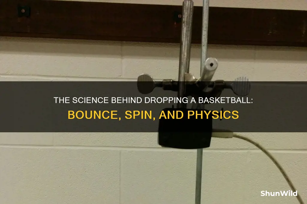 what happens when you drop a basketball