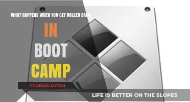 Boot Camp Rollbacks: Consequences and Impact on Recruits' Training Journey