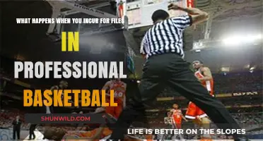 Fouls in Pro Basketball: Consequences and Impact on the Game