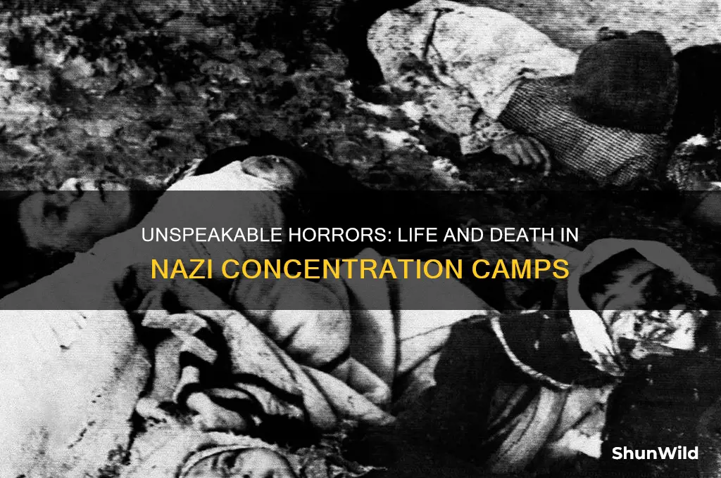 what happned in concentration camp