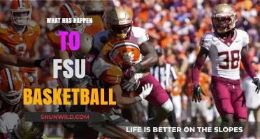 FSU Basketball's Decline: Analyzing the Struggles and Future Prospects