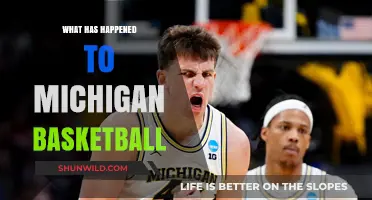 Michigan Basketball's Decline: Analyzing the Struggles and Future Prospects