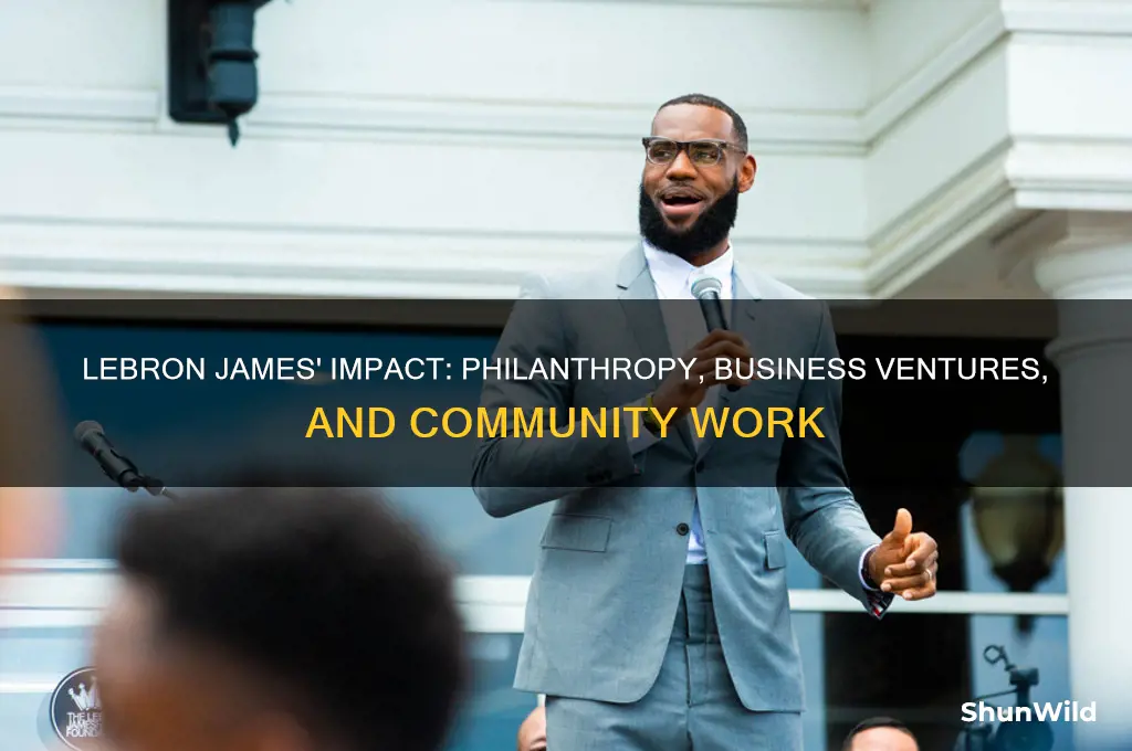 what has lebron done outside of basketball