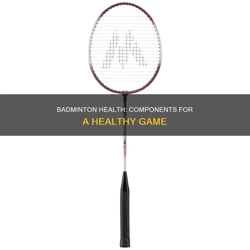 what health-related components are used when participating in badminton