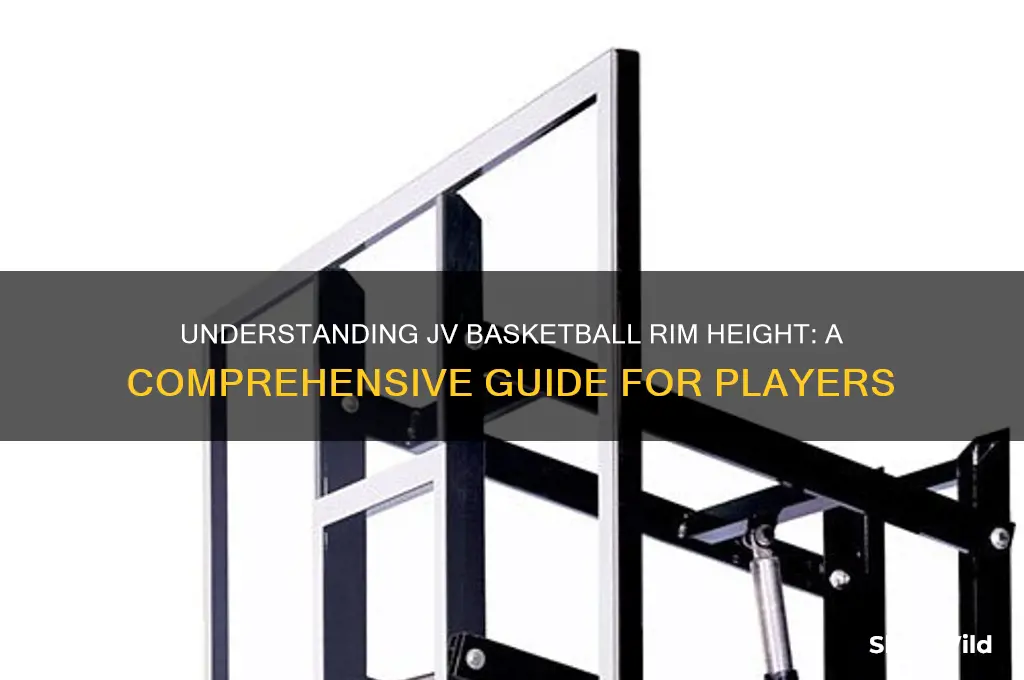 what height are the rim in jv basketball