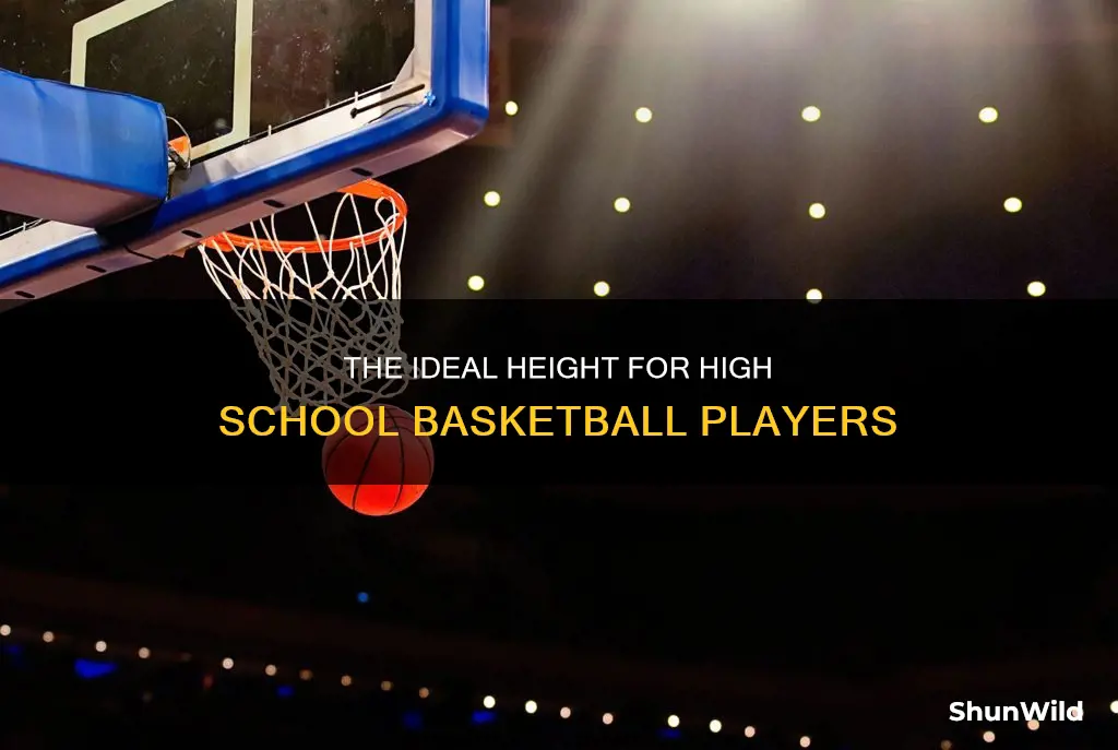 what height high school basketball