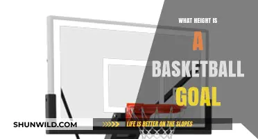 Understanding the Standard Height of a Basketball Goal for All Levels