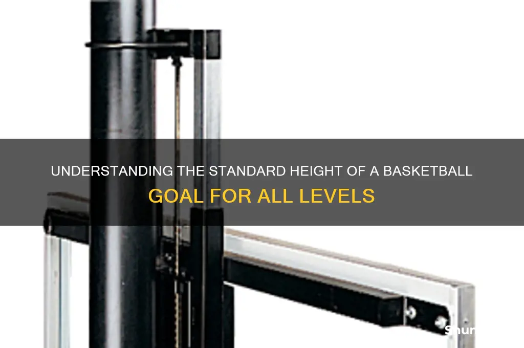 what height is a basketball goal