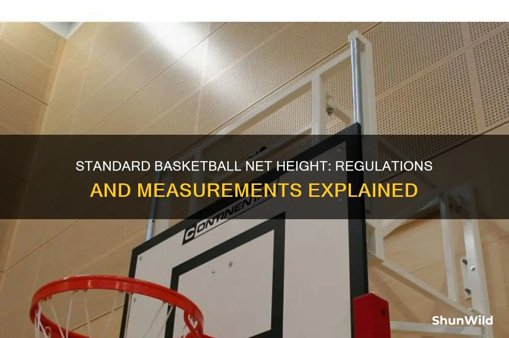 what height is a basketball net