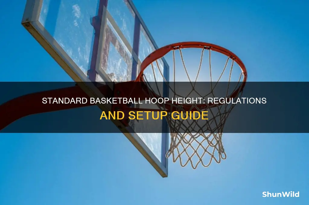 what height is a basketball ring