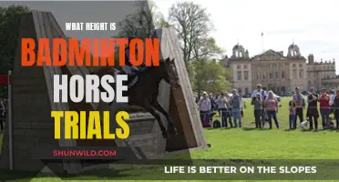 Badminton Horse Trials: The Ultimate Height Challenge