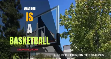 Basketball Rim Height: How High Can You Go?