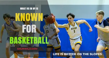 New York's Basketball Legacy: High Schools Dominating the Hardwood