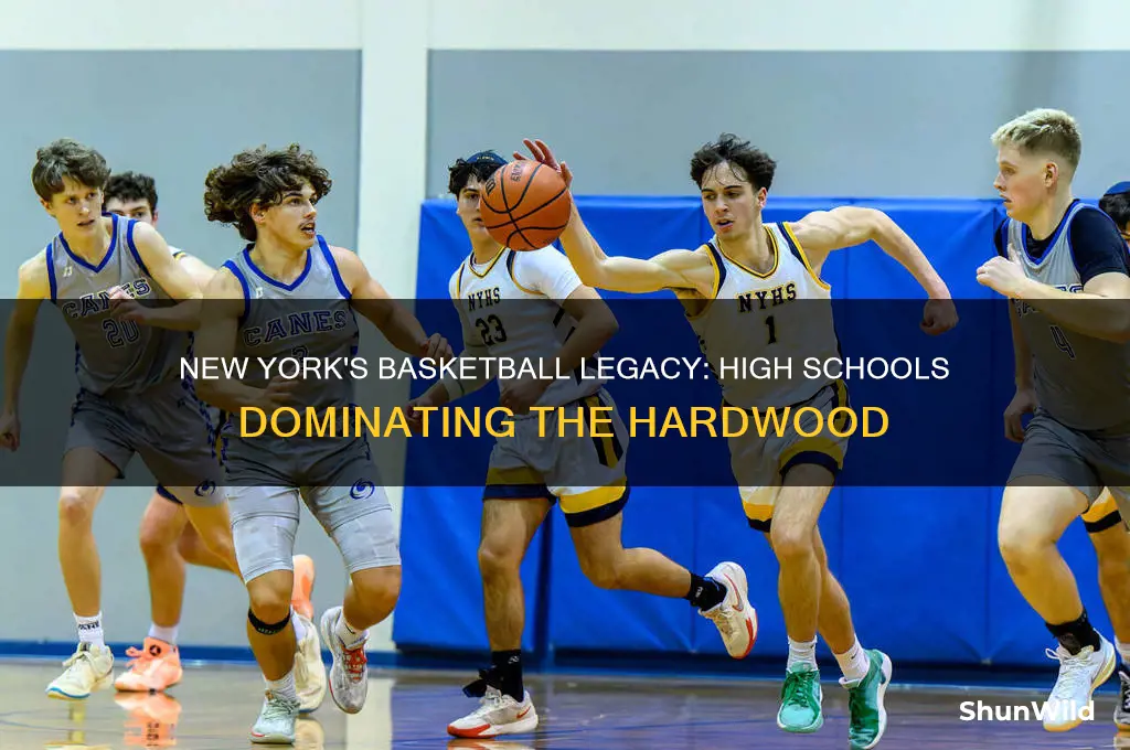 what hs in ny is known for basketball
