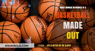 What Materials Are Basketballs Made Of? A Human Resource Perspective