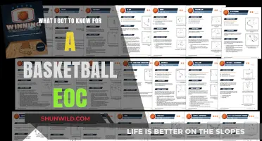 Mastering Basketball EOC: Essential Insights and Strategies for Success
