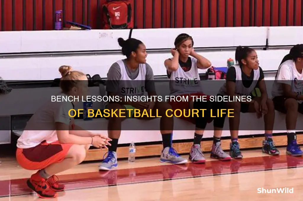 what i learned sitting on the bench basketball