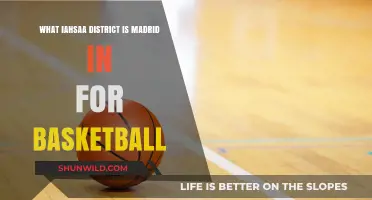 Madrid's Basketball District: Understanding IAHSA Classification and Location