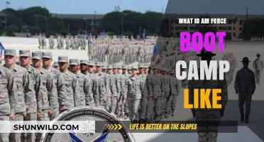Inside Air Force Boot Camp: Challenges, Training, and Transformation Revealed