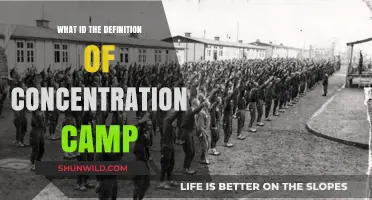 Understanding Concentration Camps: Definition, History, and Global Impact Explained