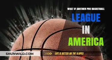 Could a New Pro Basketball League Rival the NBA in America?