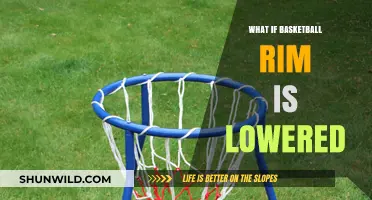 Lowering the Rim: How Basketball Would Change with a Shorter Hoop