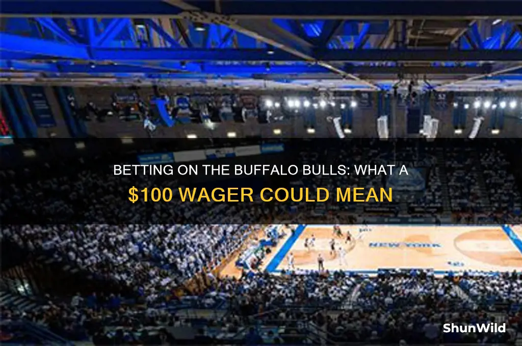 what if i put 100 on the buffalo bulls basketball