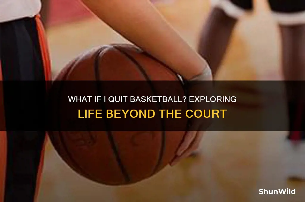 what if i quit basketball