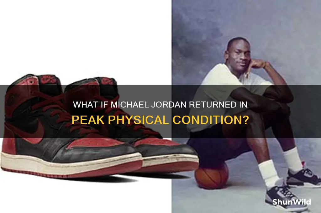 what if michael jordan got in great basketball shape