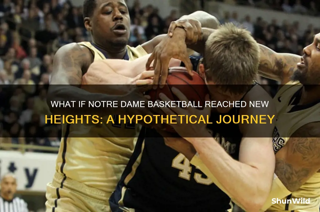 what if scenario for notre dame basketball