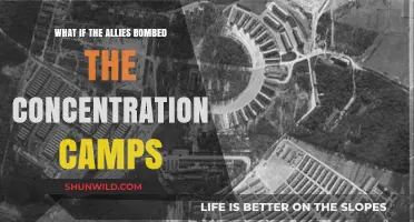 Could Allied Bombing of Concentration Camps Have Saved Lives?