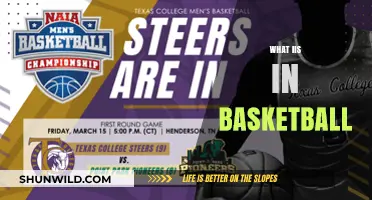 Understanding the Role and Impact of the 'Iis' in Basketball Strategy
