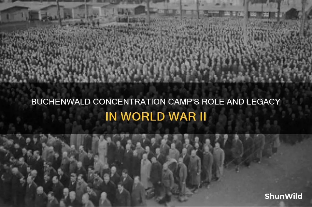 what impact did the buchenwald concentration camp have on ww2