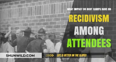 Boot Camps and Recidivism: Do They Reduce Repeat Offenses?