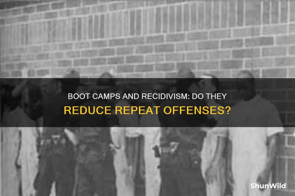 what impact do boot camps have on recidivism among attendees